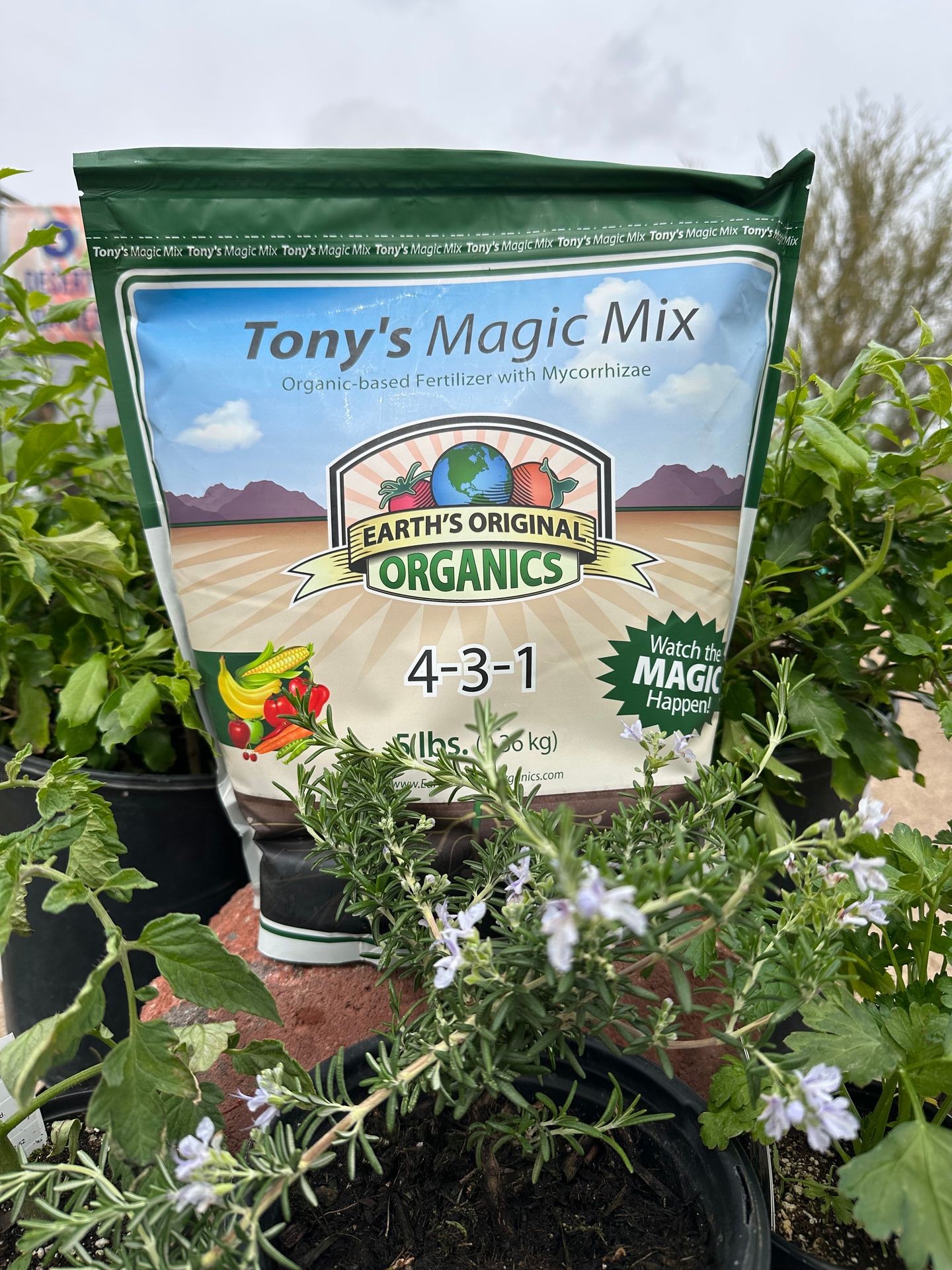 Tony’s Magic Mix | 4-3-1